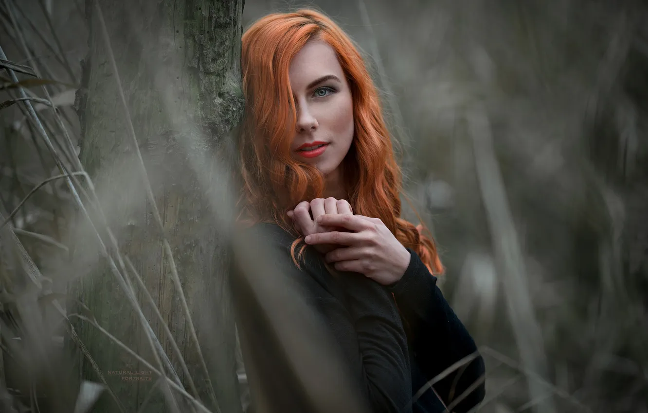 Photo wallpaper grass, look, girl, trees, model, portrait, hands, makeup