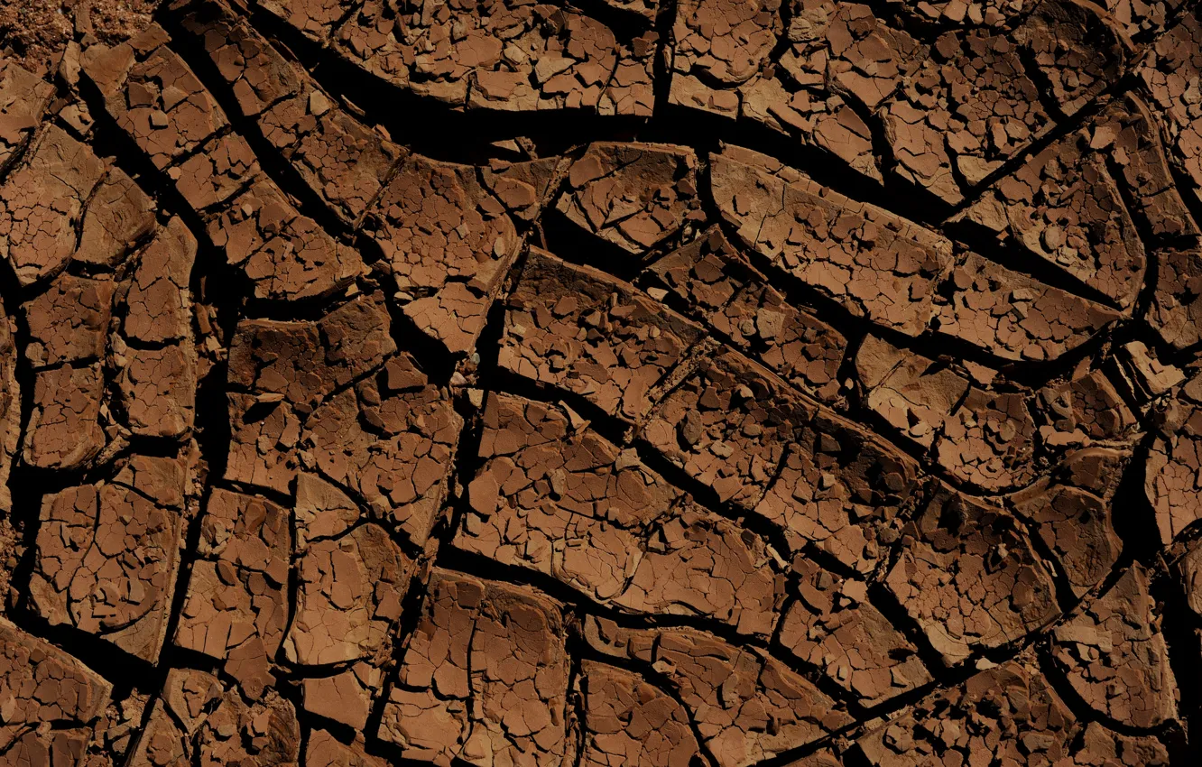 Photo wallpaper cracked, background, earth, texture, relief, soil