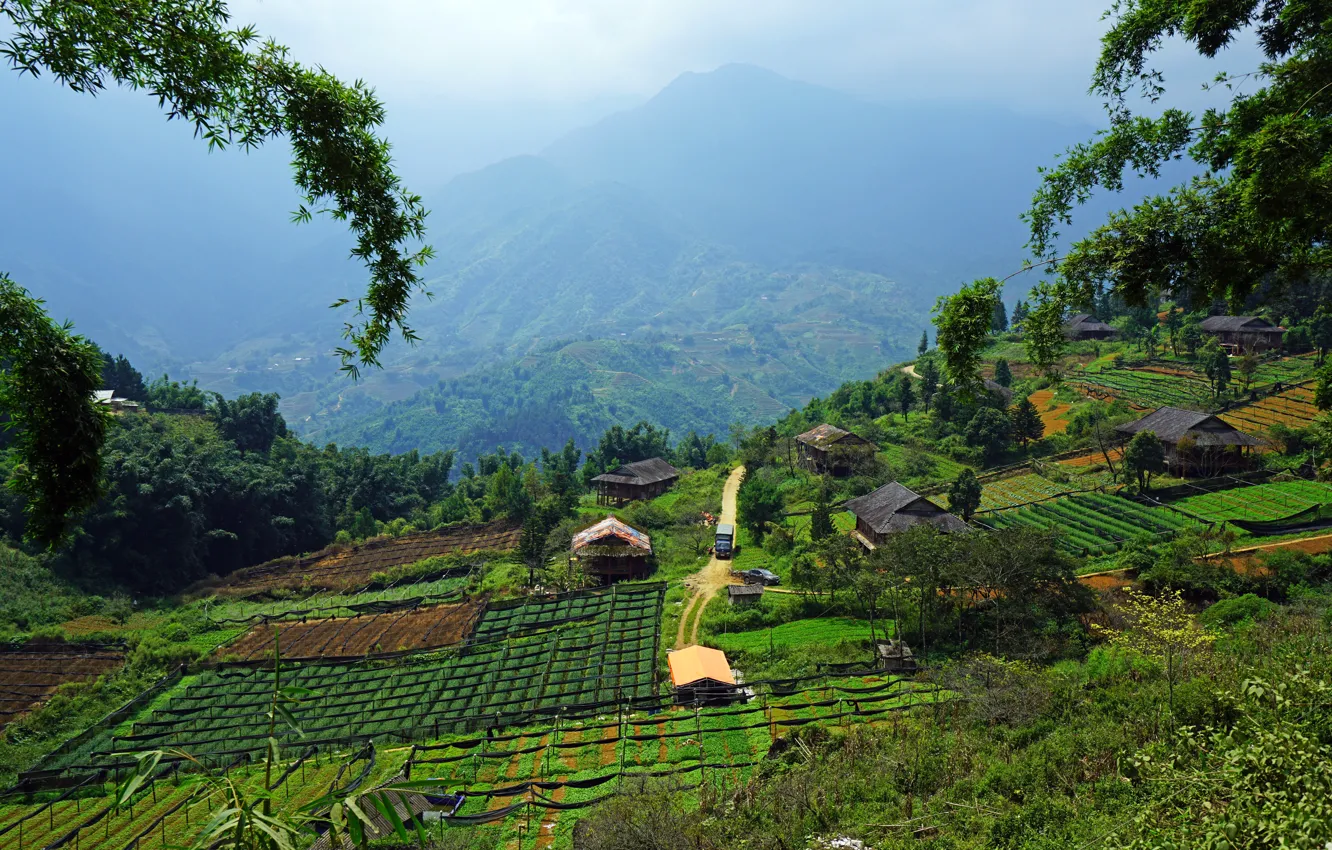 Photo wallpaper greens, the sun, mountains, field, valley, panorama, houses, Vietnam