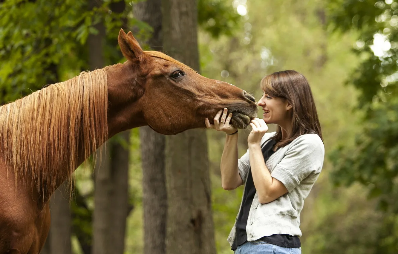 Photo wallpaper girl, background, horse