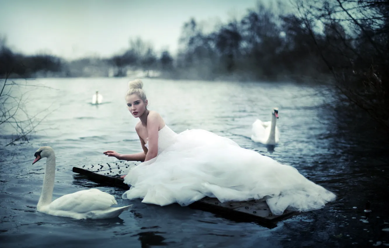 Photo wallpaper girl, nature, swans