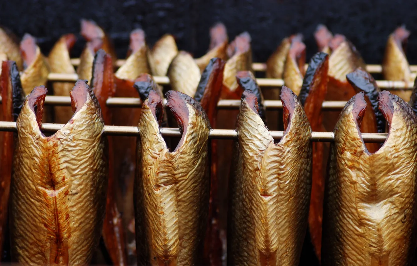 Photo wallpaper background, food, fish