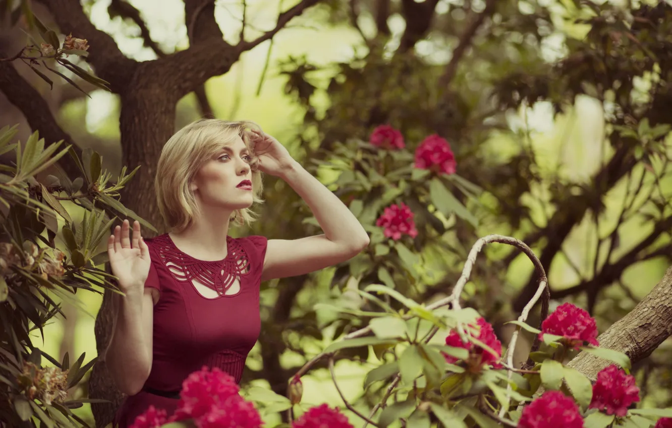 Photo wallpaper trees, flowers, branches, woman, hair, lips, red dress, looking for a a guy