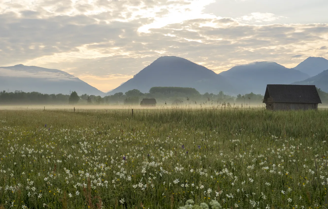 Photo wallpaper field, mountains, fog, meadow, house, wildflowers