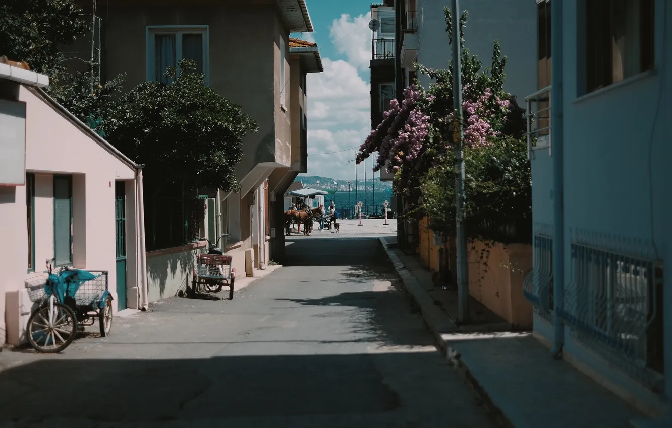Photo wallpaper sea, summer, the city, street, home, promenade