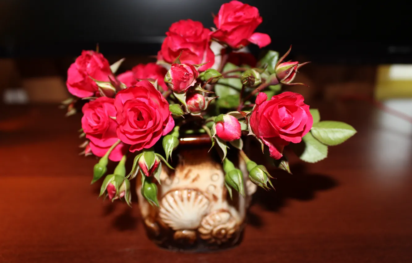 Photo wallpaper flower, rose, red rose