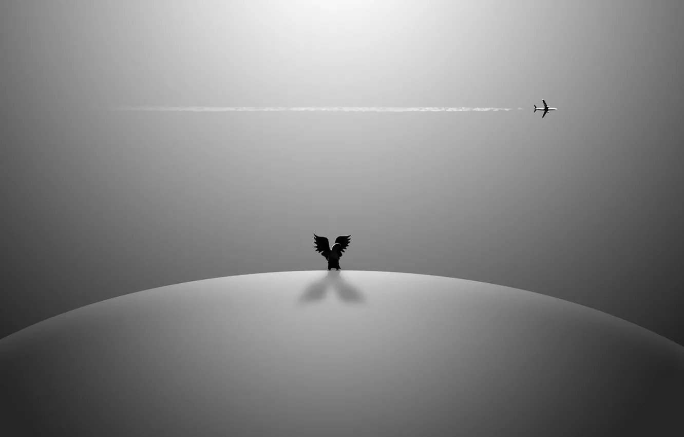 Photo wallpaper the sky, background, the plane