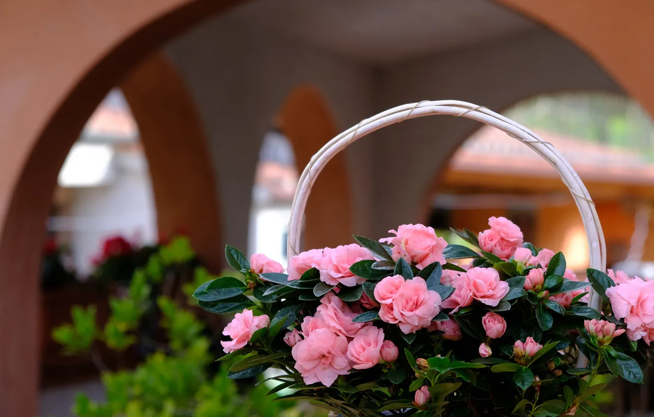 Photo wallpaper flowers, bouquet, arch, pink, arch, basket, the room, bokeh