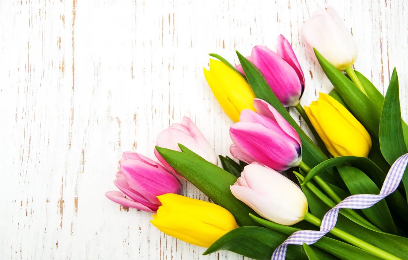 Photo wallpaper white, background, bouquet, yellow, tape, tulips, pink, tulips