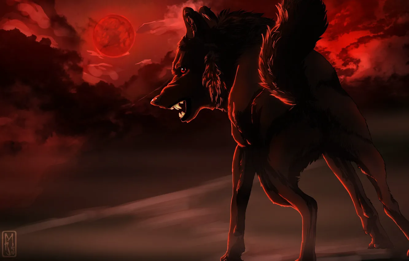 Photo wallpaper background, wolf, predator, fangs