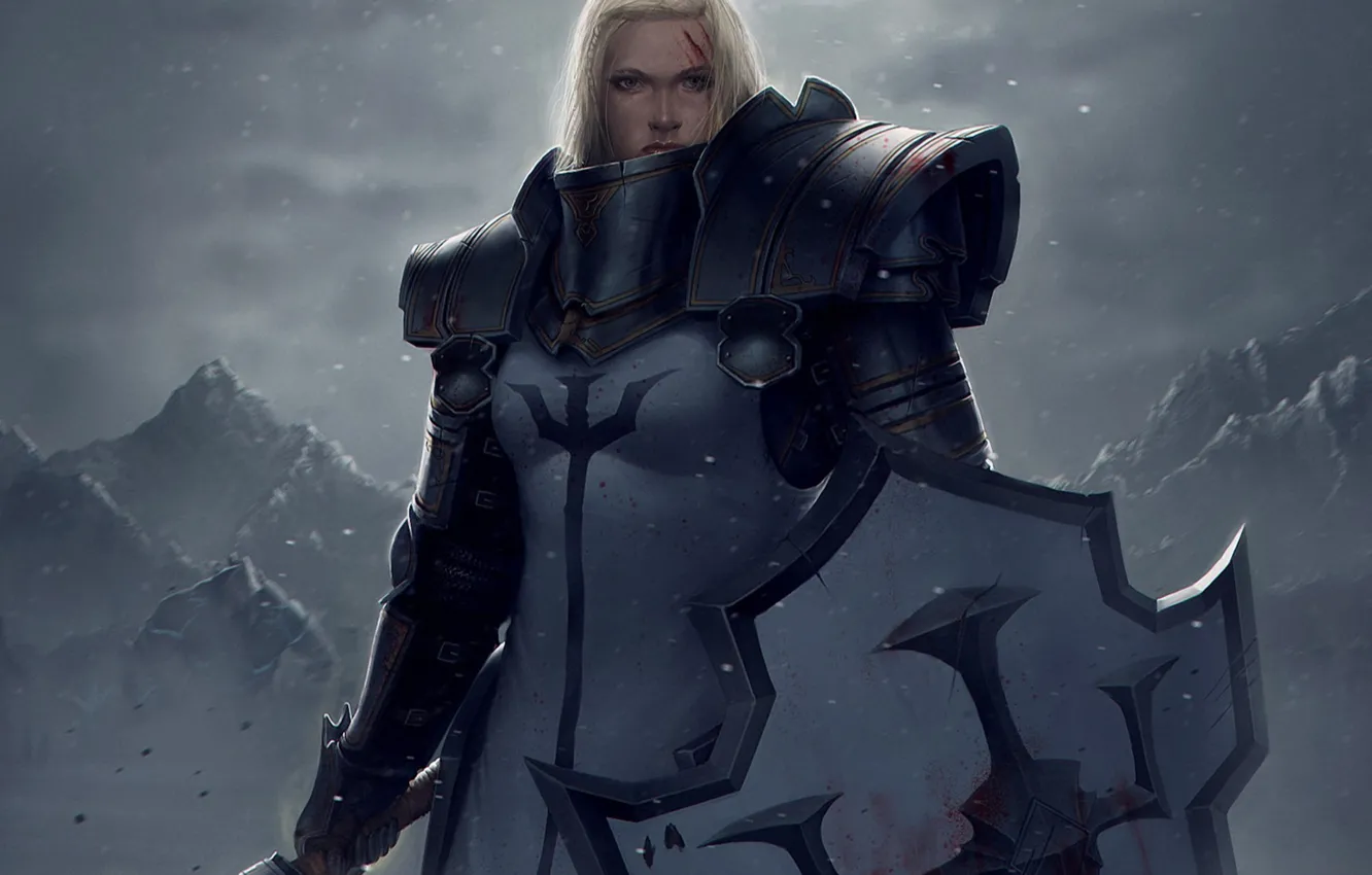Photo wallpaper girl, snow, mountains, weapons, blood, art, shield, Diablo III