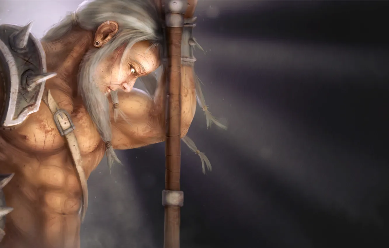 Photo wallpaper weapons, art, male, Diablo 3, Barbarian, Reaper of Souls, Barbarian
