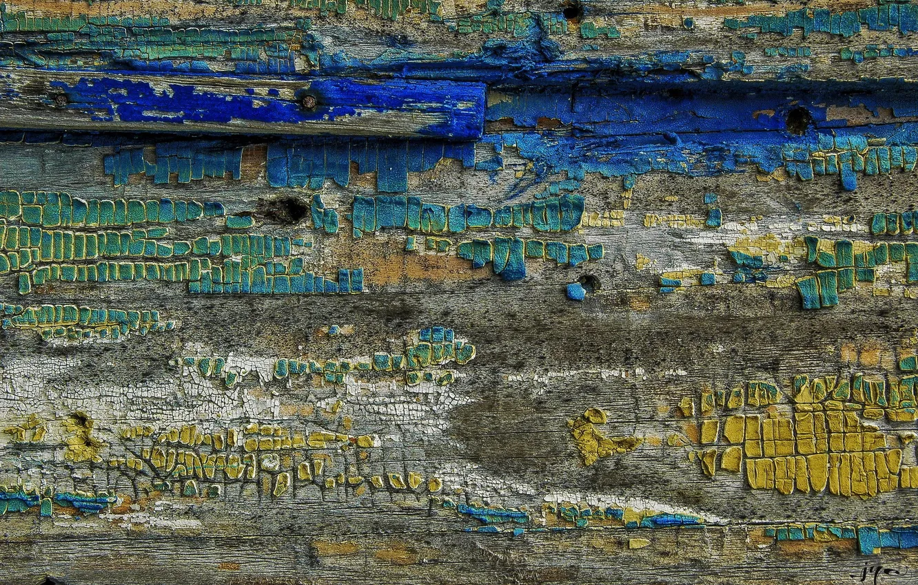 Photo wallpaper trees, background, paint