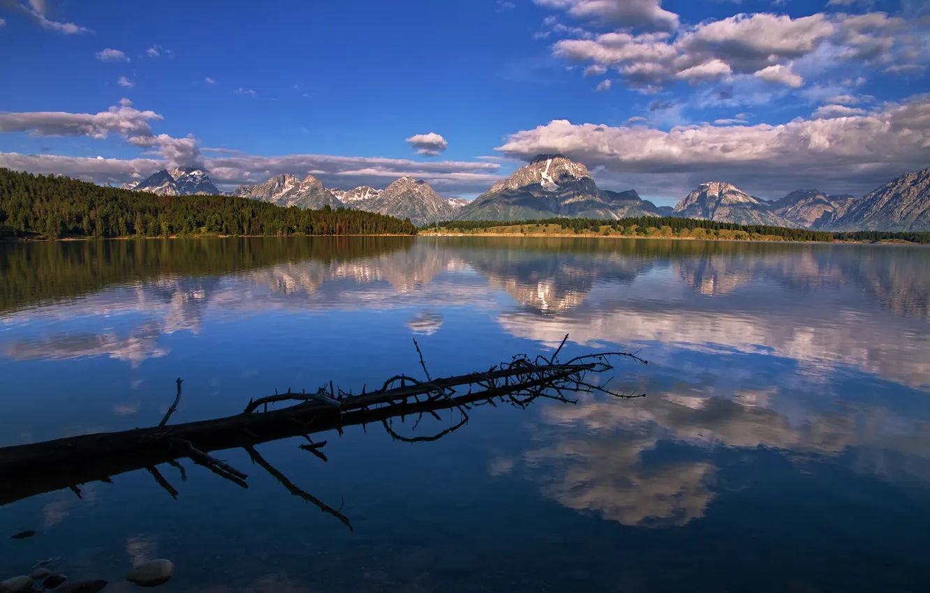 Photo wallpaper forest, Wyoming, sky, mountain, lake, Grand Teton
