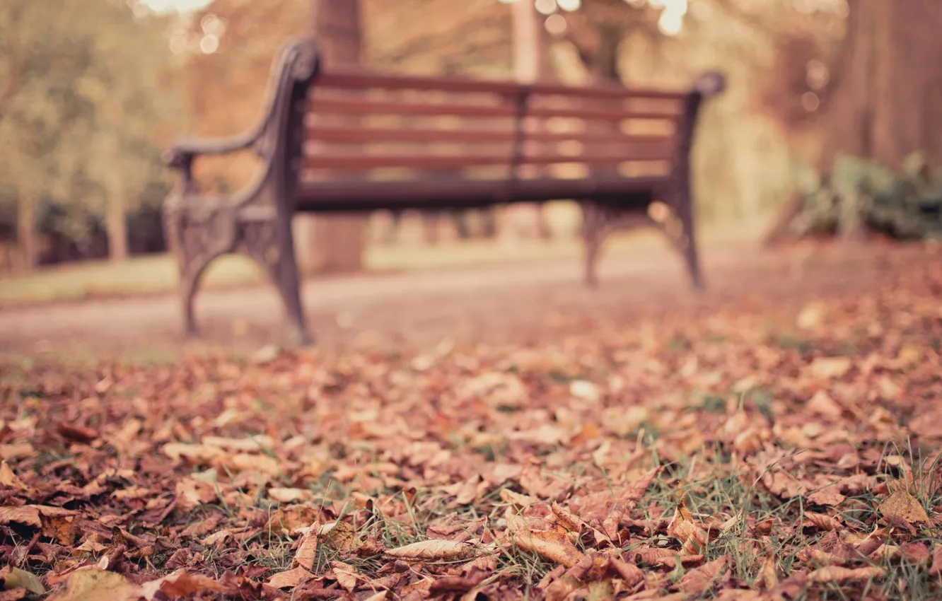 Photo wallpaper autumn, leaves, the city, Park, bench