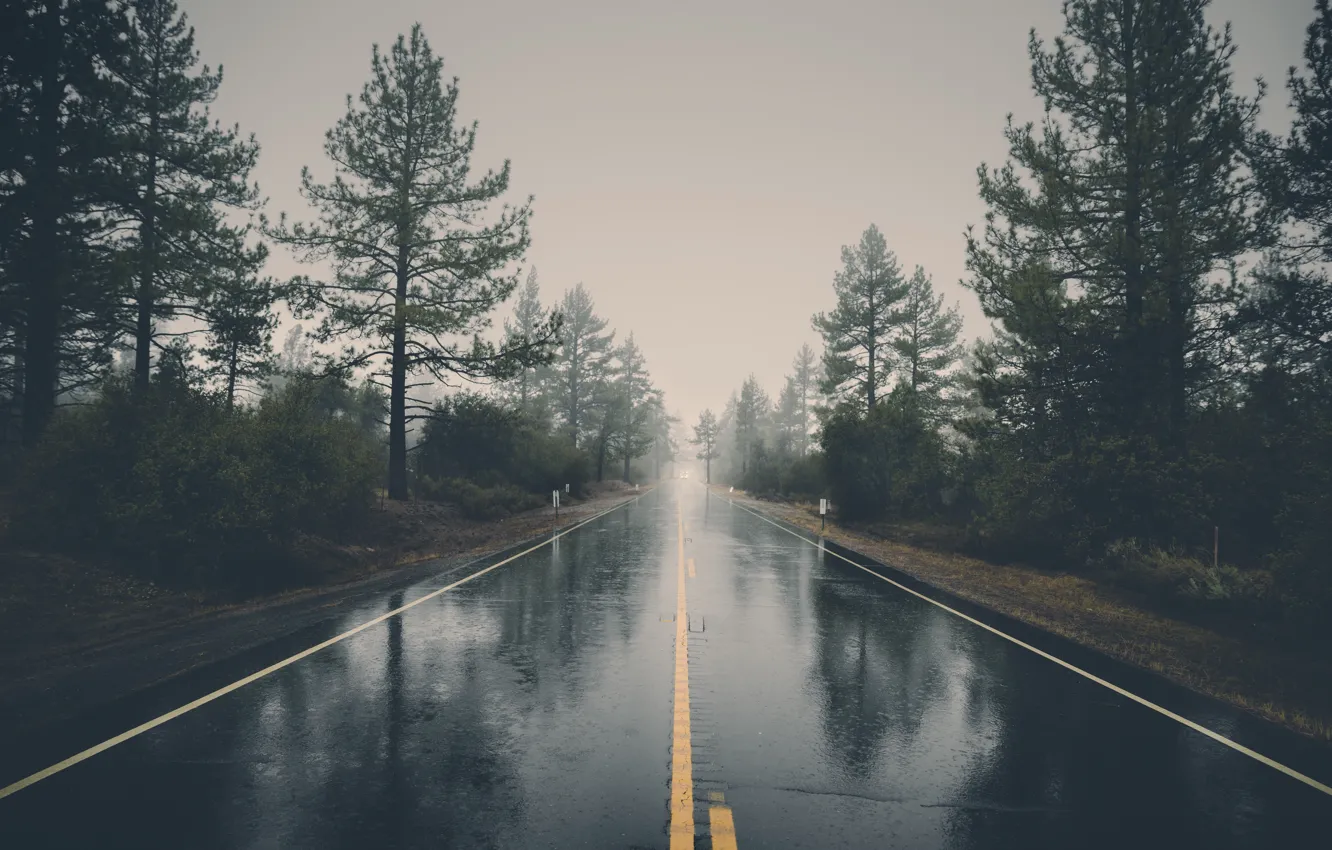 Photo wallpaper road, trees, machine, clouds, rain, the dividing line
