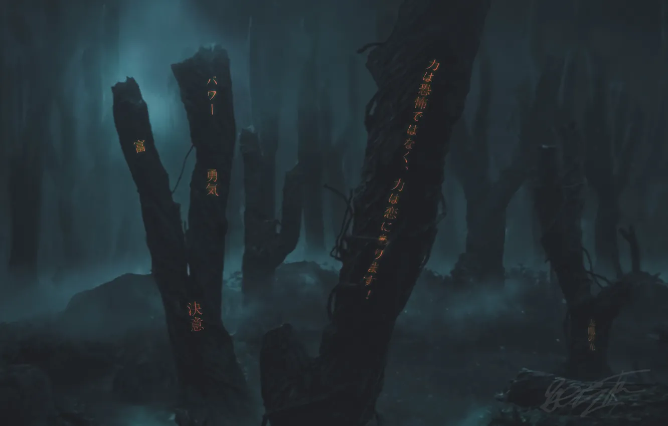 Photo wallpaper forest, magic, dark, Japan, signs, the old forest, the magic of the forest