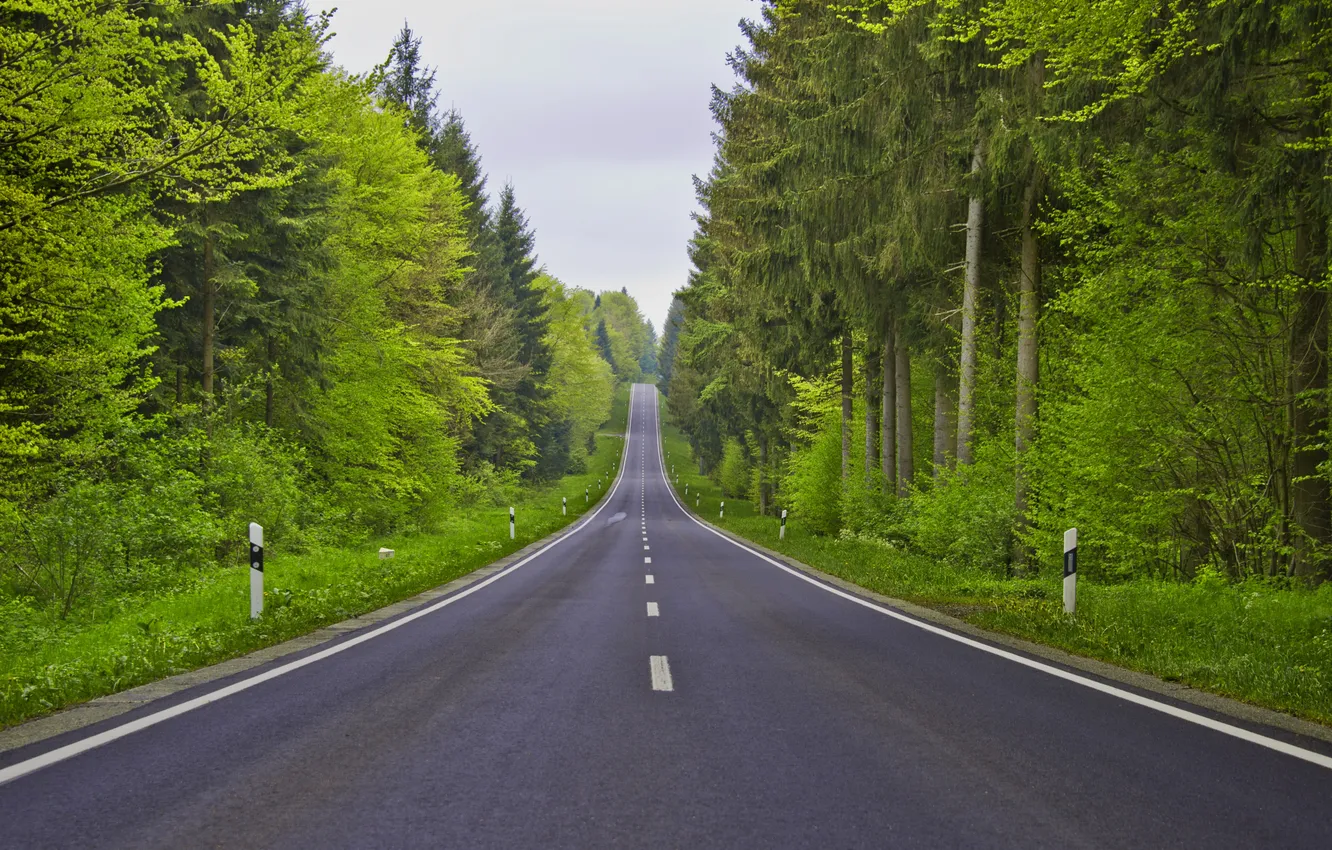 Photo wallpaper road, forest, the sky, clouds, trees, landscape, nature, plant