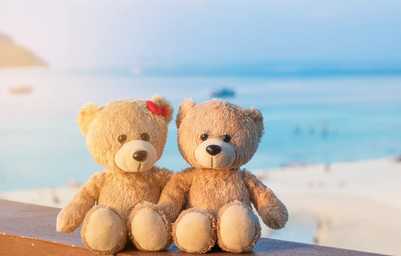 Photo wallpaper sand, sea, beach, love, toy, bear, bear, pair