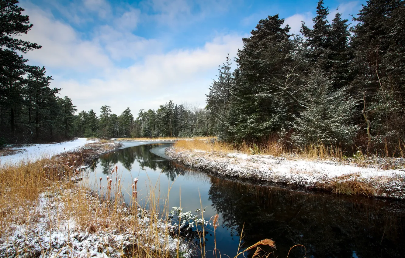 Photo wallpaper winter, forest, landscape, river