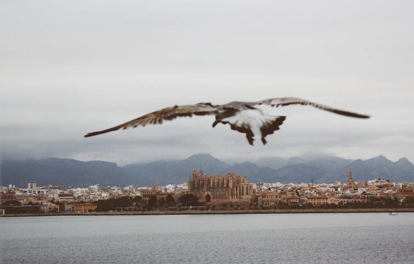 Photo wallpaper sky, sea, seascape, freedom, clouds, Spain, seaside, seagull