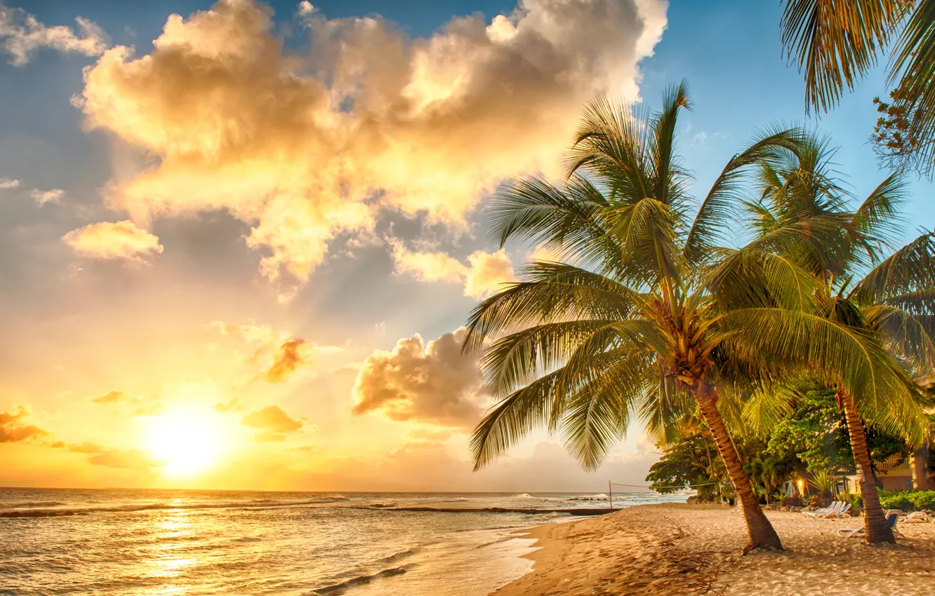 Photo wallpaper sand, sea, beach, sunset, tropics, palm trees, shore, beach, sea, ocean, sunset, paradise, palms, tropical