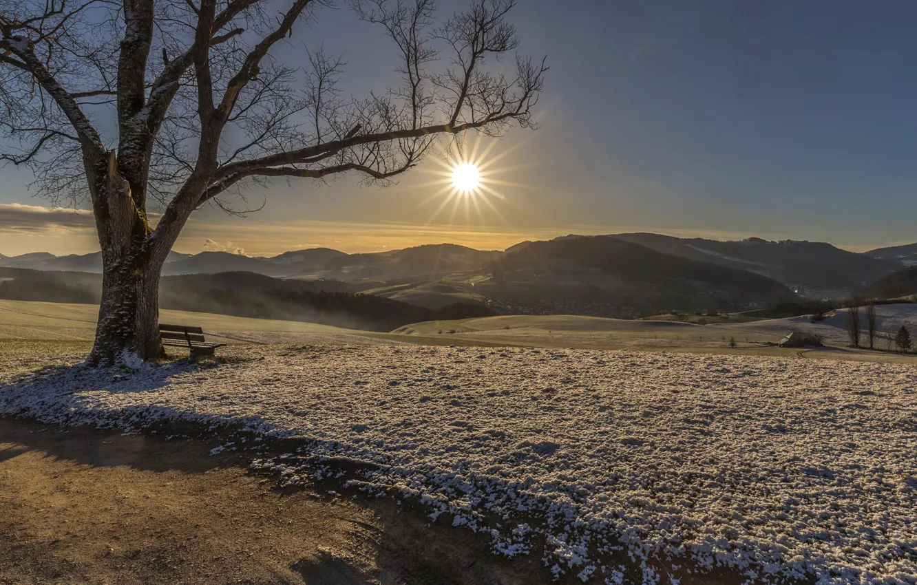 Photo wallpaper frost, trees, the evening, bench