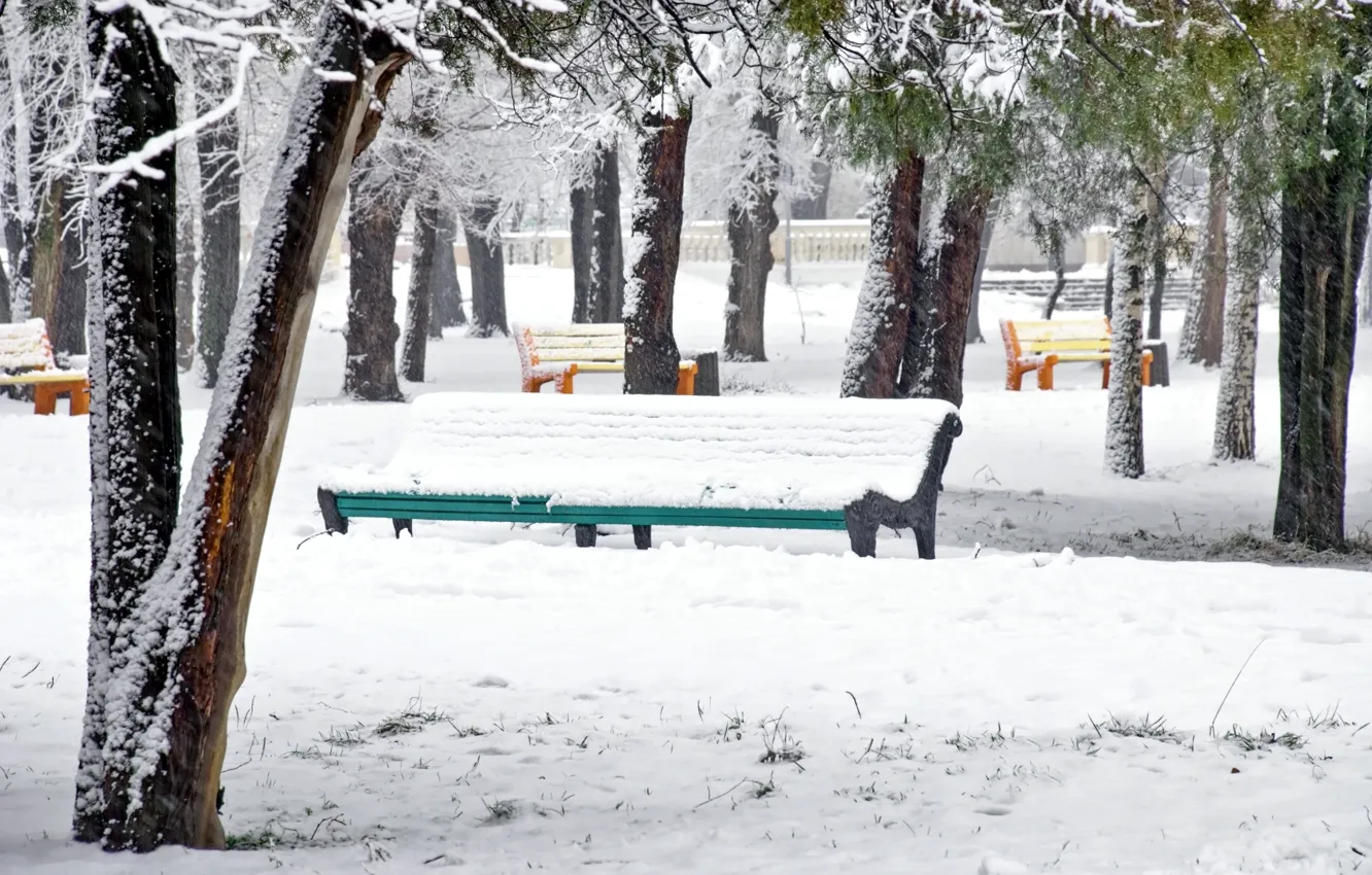 Photo wallpaper trees, bench, Park, winter, snow, winter landscape