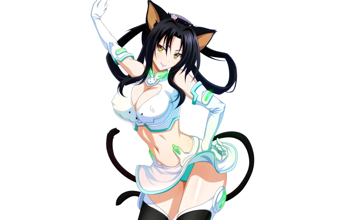 Photo wallpaper girl, sexy, lingerie, cleavage, panties, thighhighs, long hair, boobs