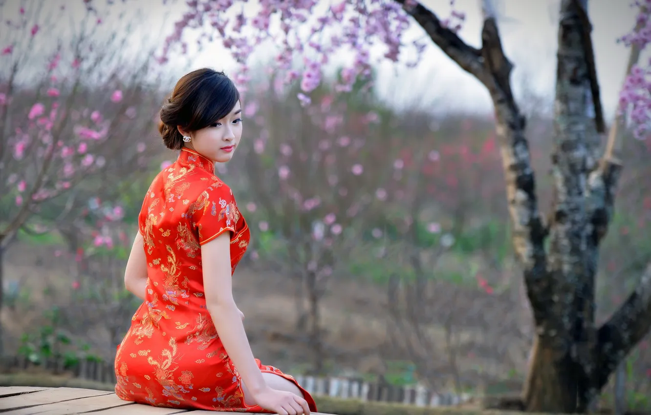 Photo wallpaper girl, background, Asian