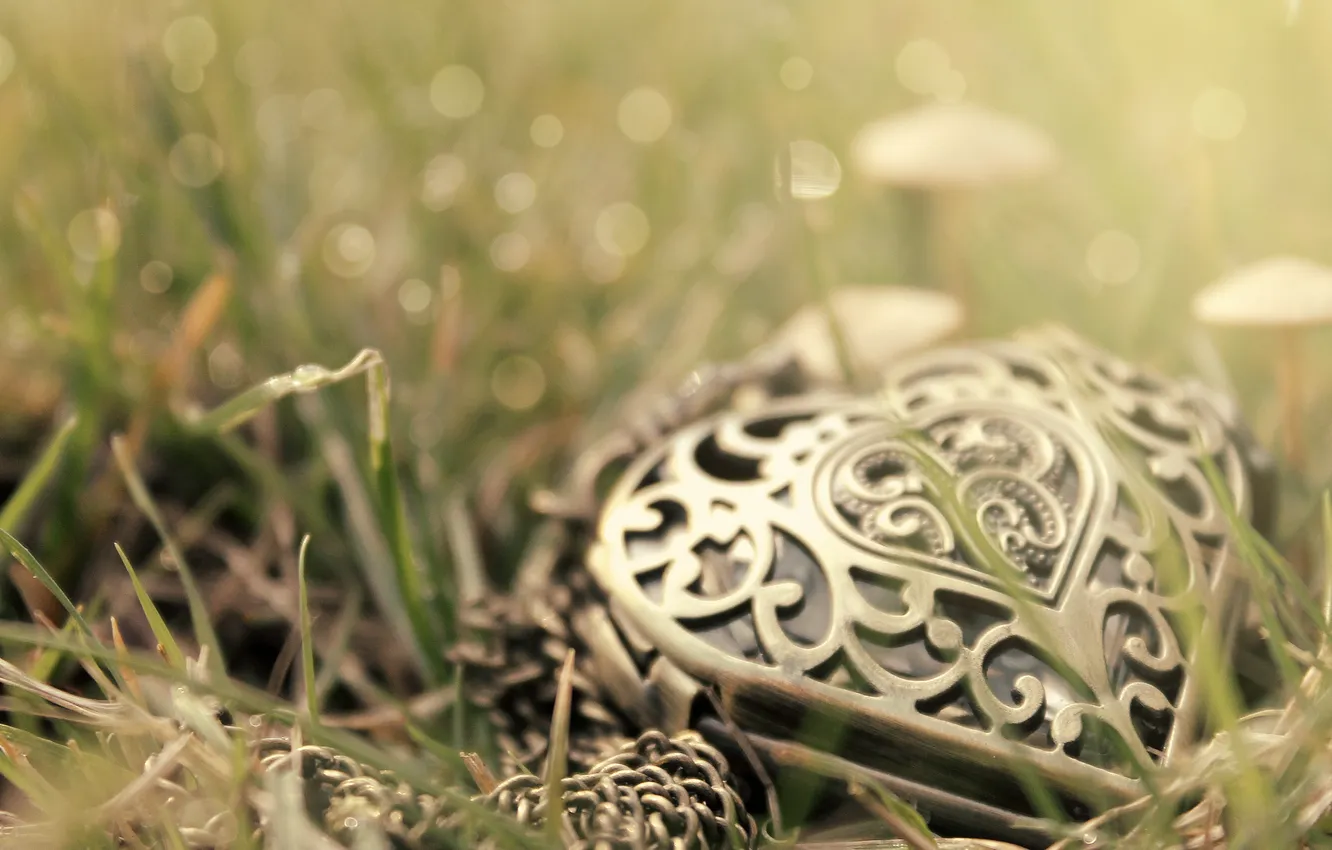 Photo wallpaper grass, heart, pendant