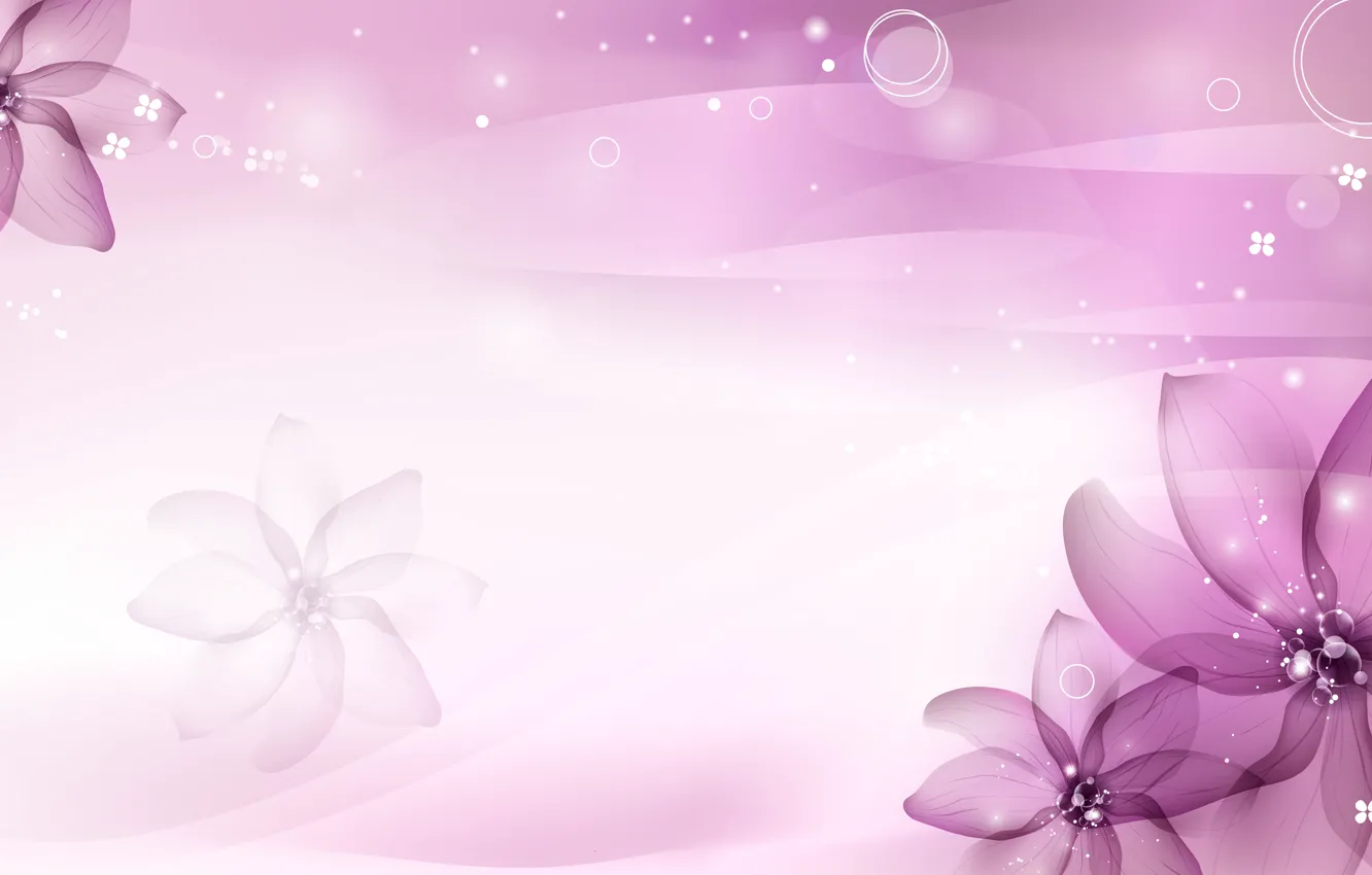 Photo wallpaper purple, flowers, petals