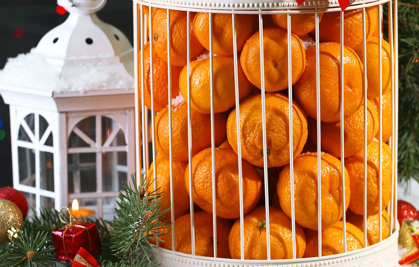 Photo wallpaper decoration, New Year, Christmas, fruit, Christmas, tangerines, decoration, Merry
