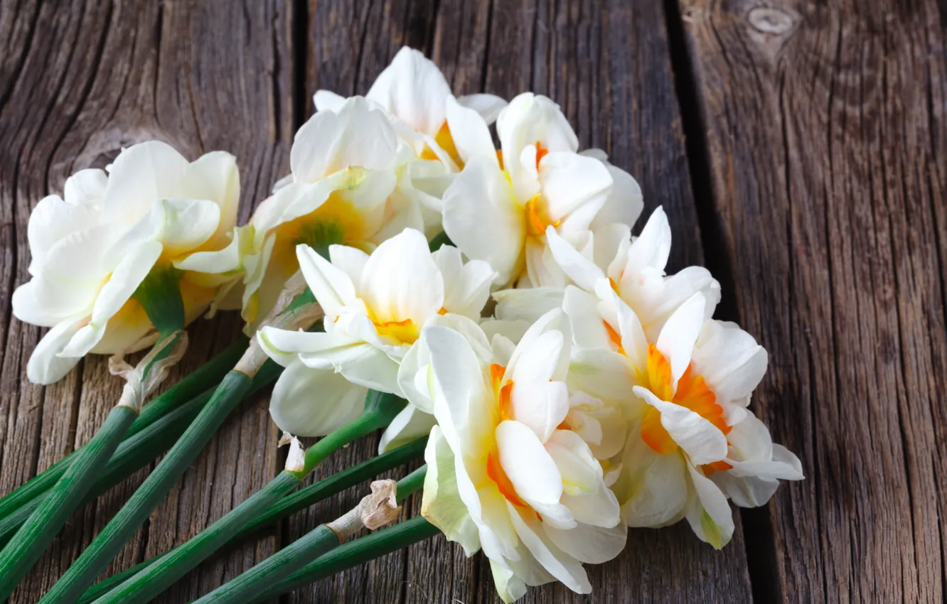 Photo wallpaper flowers, bouquet, spring, daffodils
