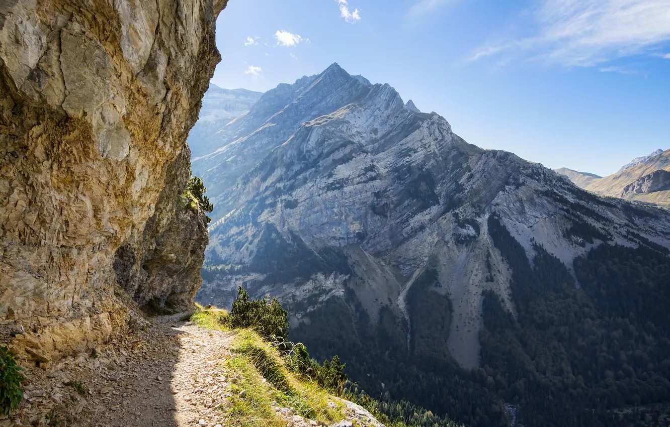 Photo wallpaper forest, the sky, clouds, trees, landscape, mountains, nature, rocks