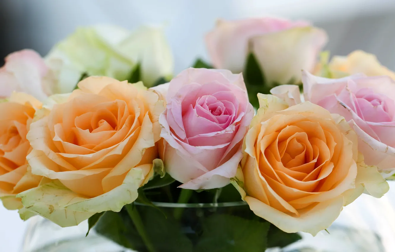 Photo wallpaper glass, flowers, close-up, background, roses, bouquet, light, bowl