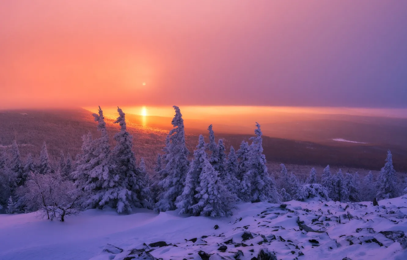 Photo wallpaper winter, forest, the sky, the sun, trees, sunset, nature, Andrey Sharapov
