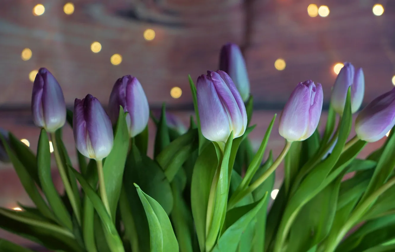 Photo wallpaper bouquet, tulips, lilac, bokeh