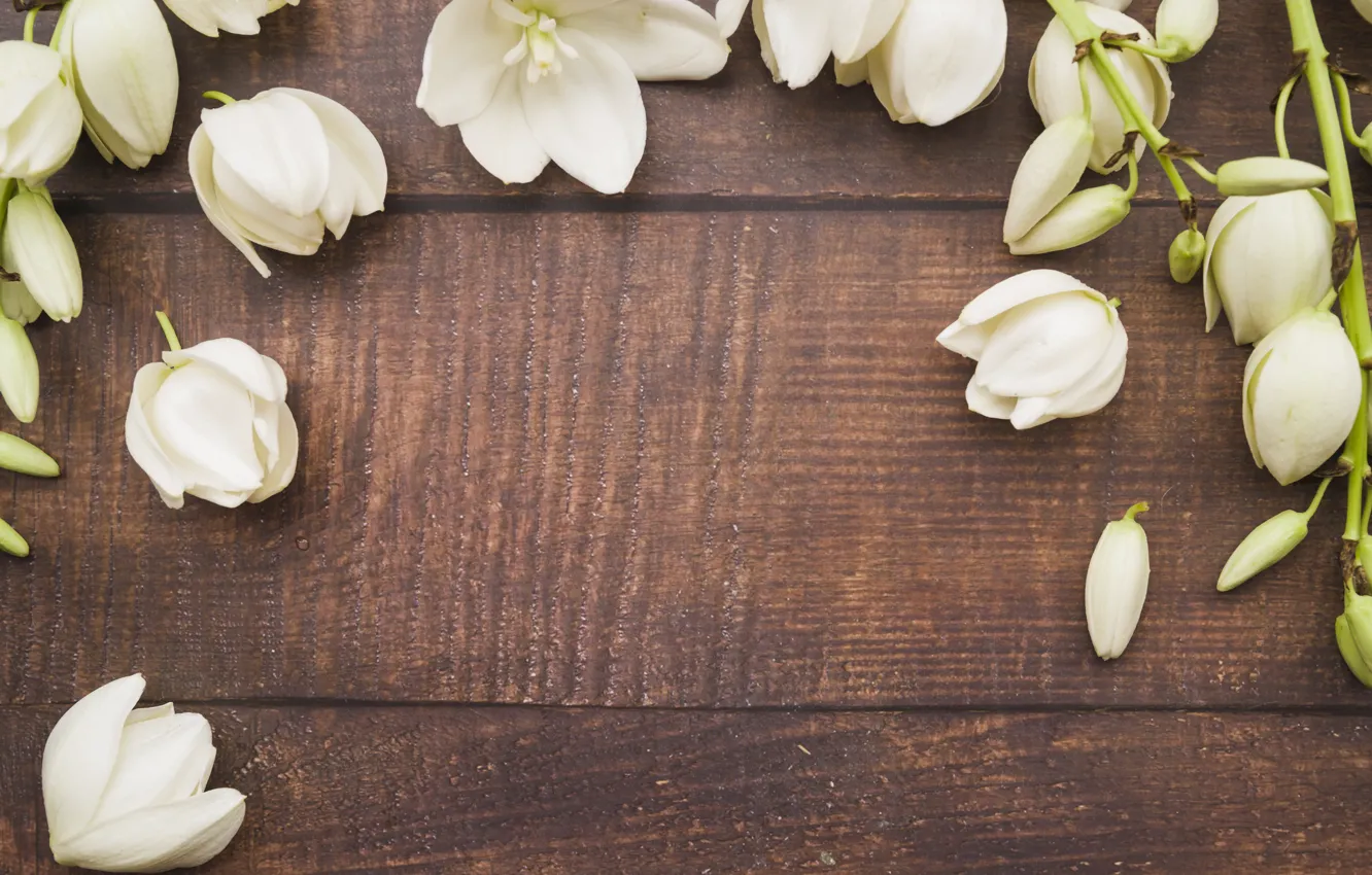 Photo wallpaper flowers, petals, white, white, wood, flowers, petals