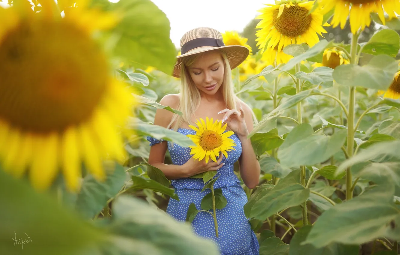 Photo wallpaper sunflowers, pose, model, portrait, hat, makeup, figure, dress