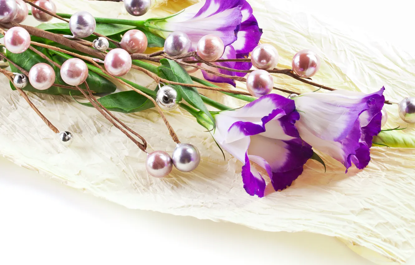 Photo wallpaper flowers, purple, purple flowers