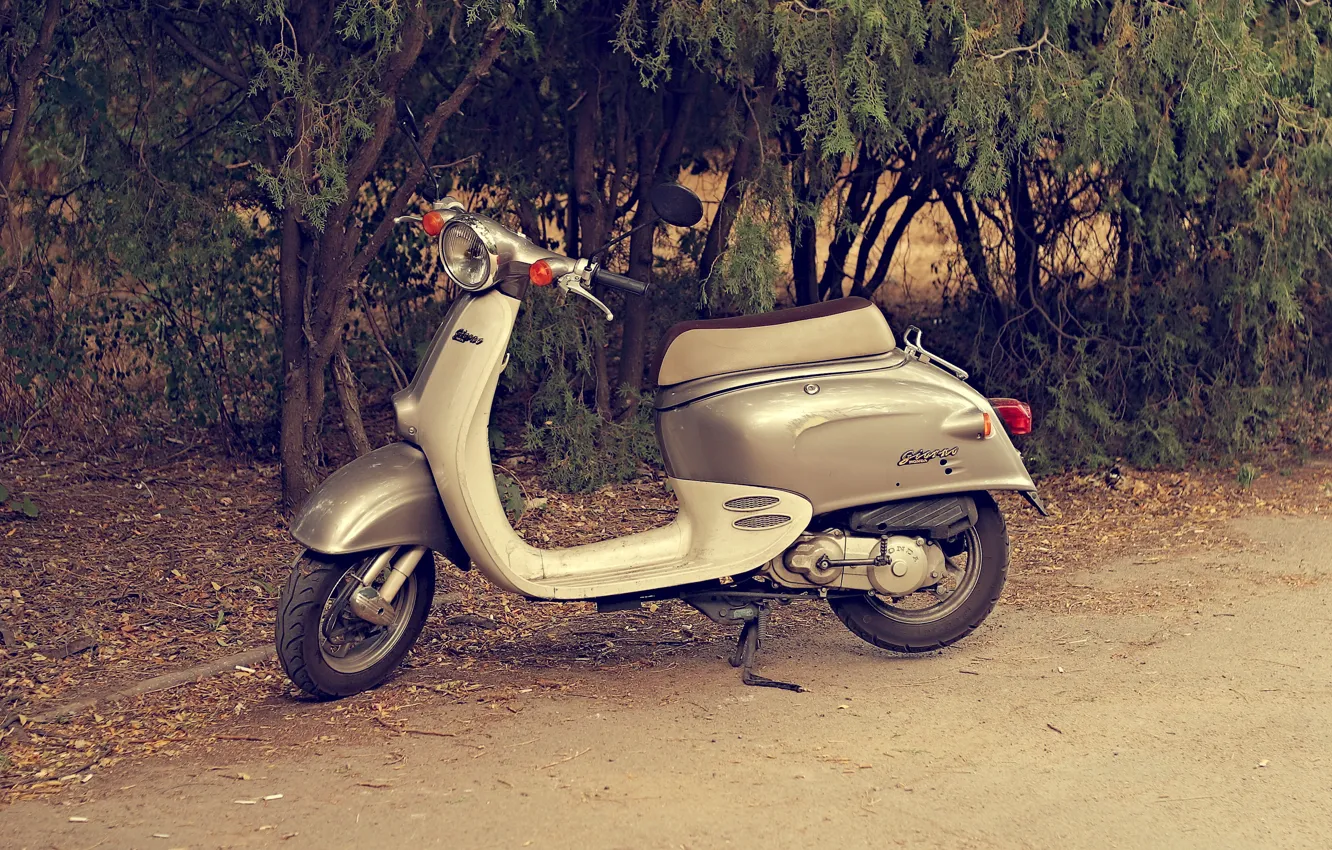 Photo wallpaper Honda, silver, Day, Honda Day AF 24