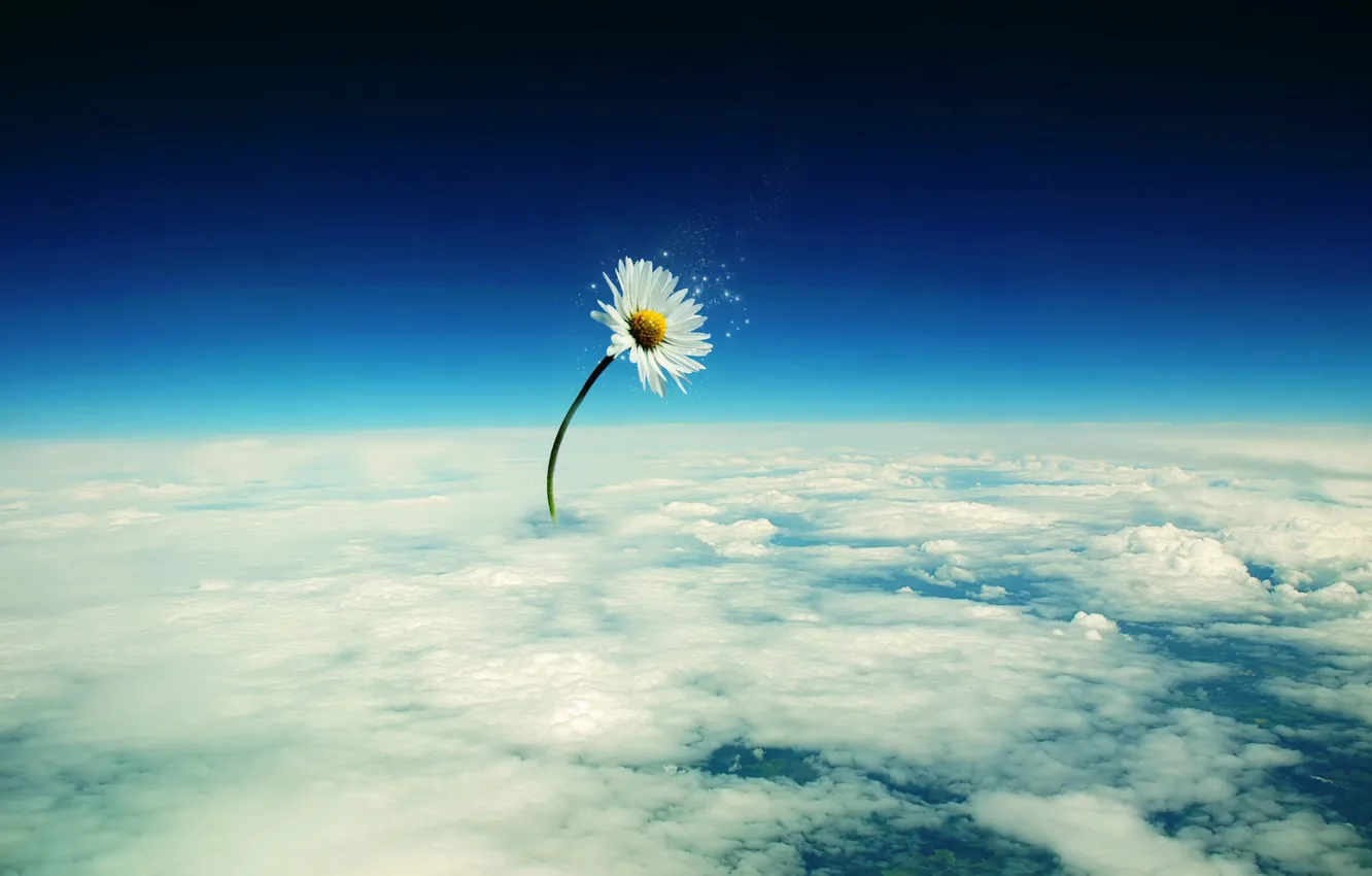 Photo wallpaper clouds, flowers, treatment