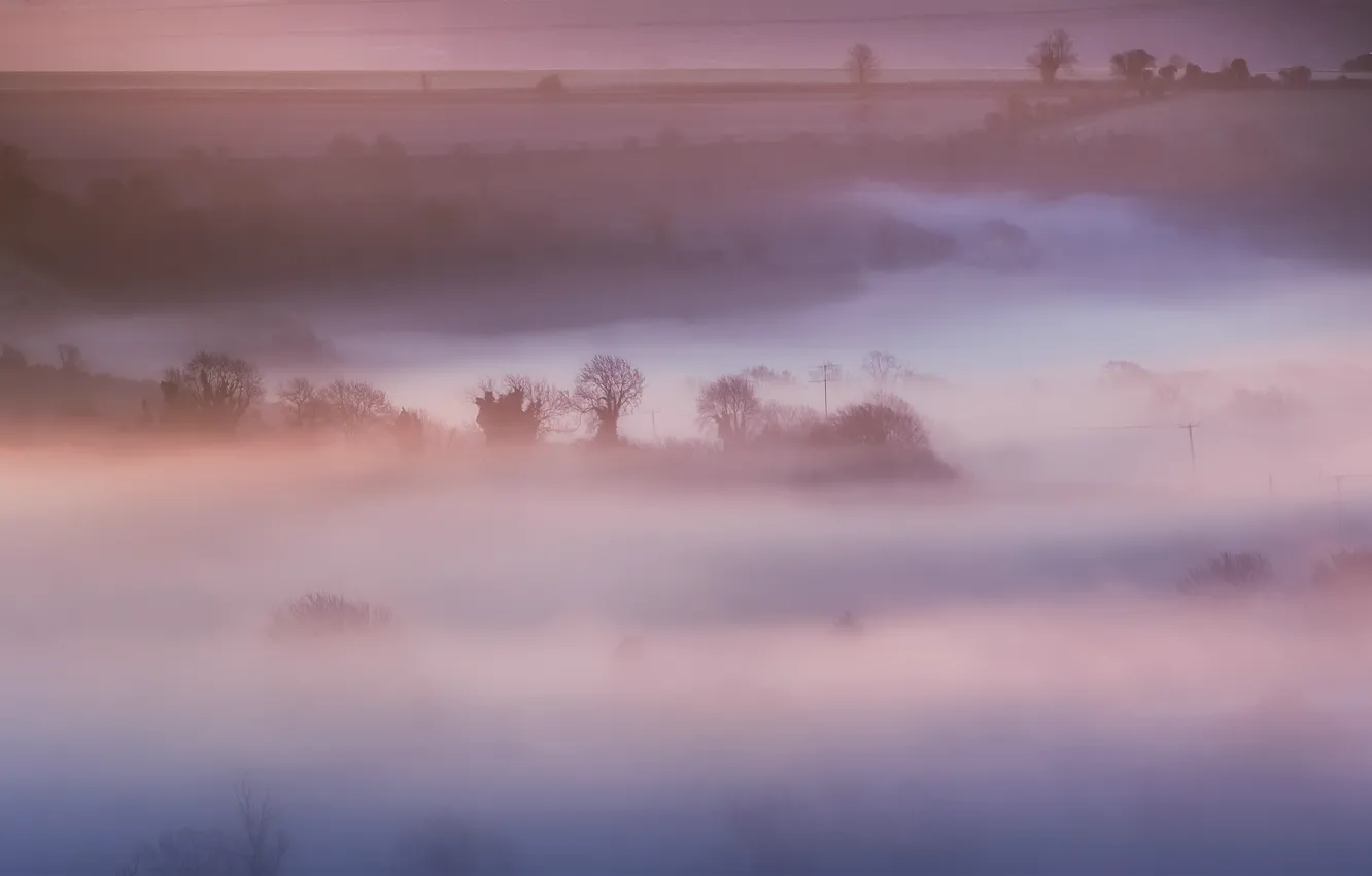 Photo wallpaper field, trees, nature, fog, England, morning, UK, haze