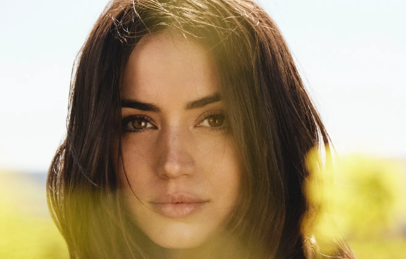 Photo wallpaper look, angel, actress, brown hair, beauty, beauty, angel, Ana de Armas