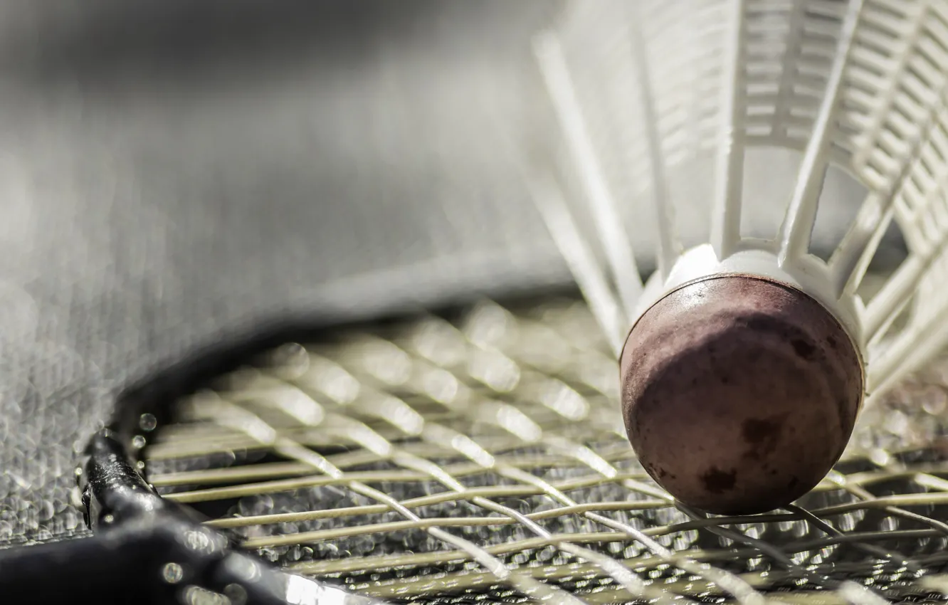 Photo wallpaper macro, racket, badminton
