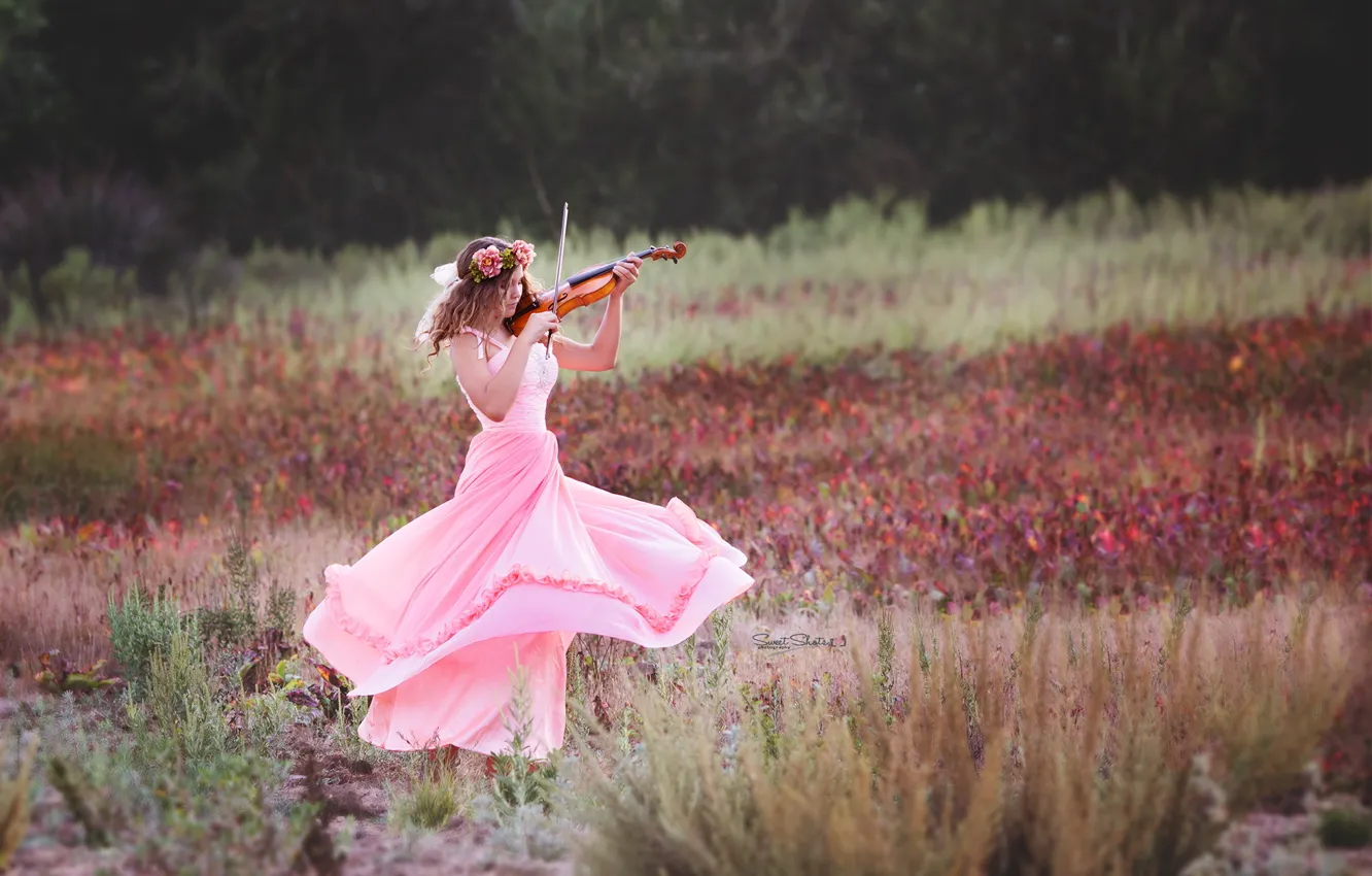 Photo wallpaper summer, girl, music, violin