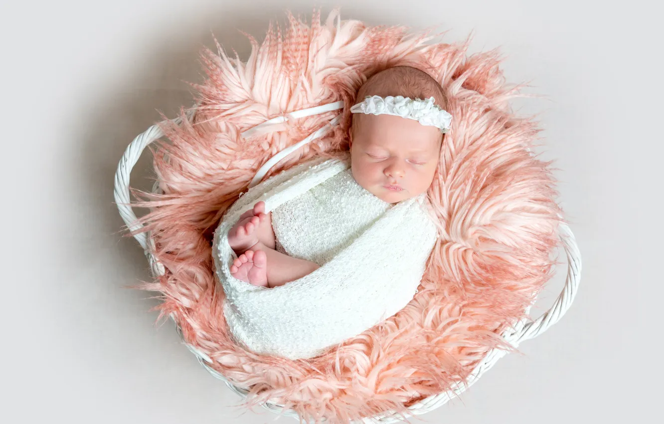 Photo wallpaper sleeping, girl, fur, basket, baby