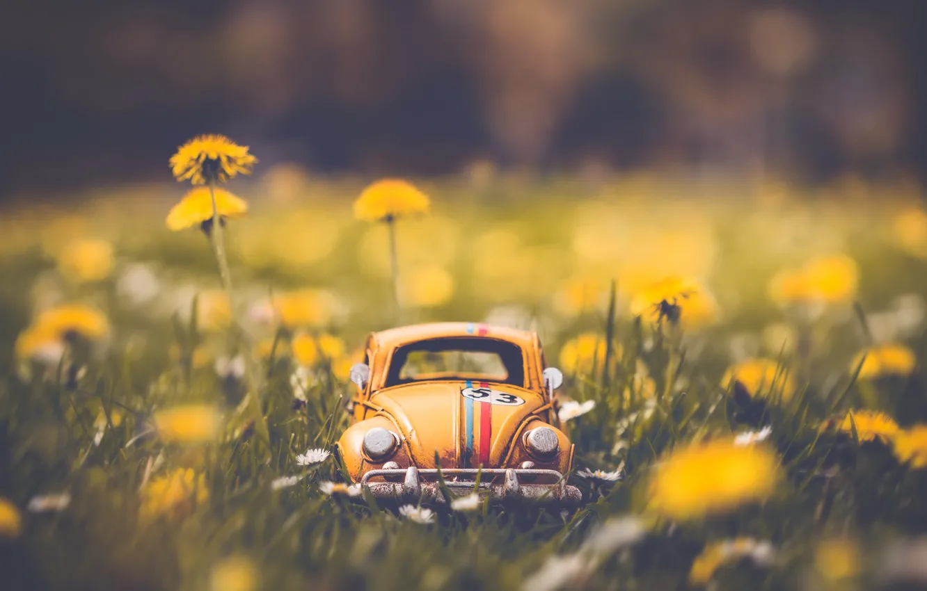 Photo wallpaper flowers, model, toy, car, machine