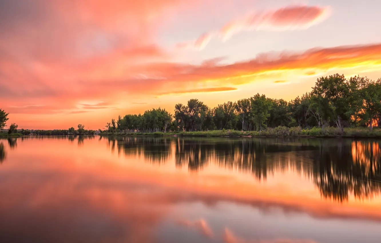 Photo wallpaper forest, clouds, sunset, lake, reflection, shore, symmetry